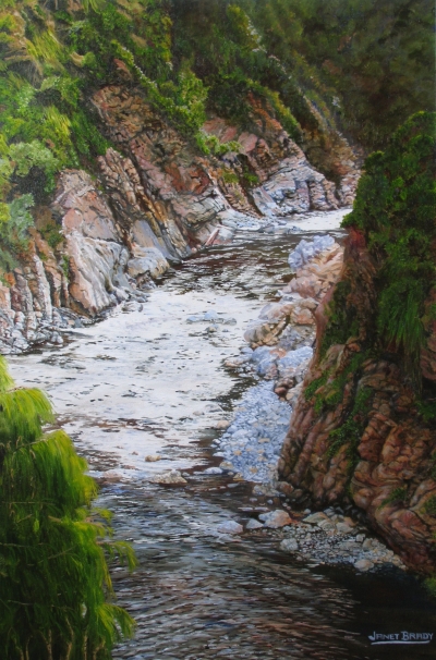 Hutt River Gorge, Kaitoke, NZ